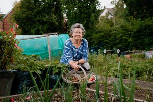 Cameron Moffett at Cross Houses Allotments, near Shrewsbury 