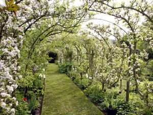 Supporting image for story: Gardens across Shropshire open up for charity