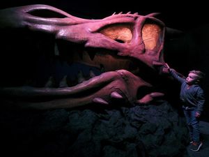 Supporting image for story