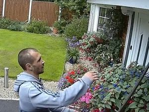 Supporting image for story: Telford hanging baskets thief is jailed - watch the CCTV