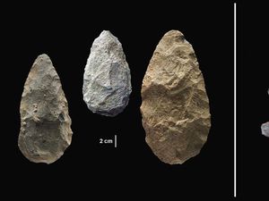 Supporting image for story: Modern humans may have evolved far earlier than thought, new research suggests
