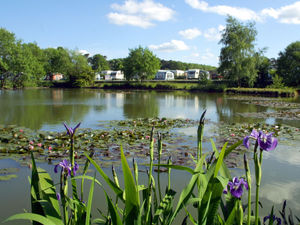 Supporting image for story: Carry on camping as sites allowed to welcome guests