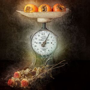 Seedheads & Persimmons by Norman O'Neill