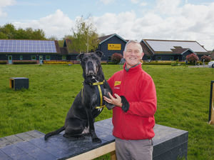 Supporting image for story: Retired teacher and volunteer urges dog lovers to sign up and help dogs in need