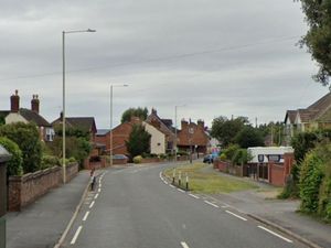 Supporting image for story: New zebra crossings proposed for Telford road