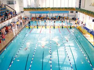 Supporting image for story: Repair work to begin on Shrewsbury Quarry pool's roof within days