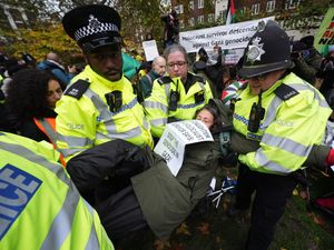 Supporting image for story: Daughter of Holocaust survivor among those arrested at Palestine Action protest