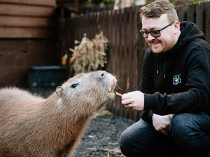 Supporting image for story: New family of capybaras join Telford Exotic Zoo in time for opening day