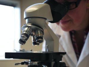 Supporting image for story: Experimental Covid-19 drug did not reduce deaths – study