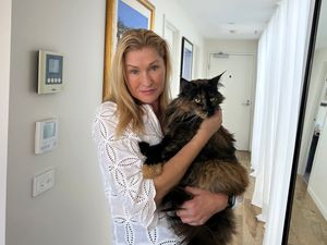 Supporting image for story: Mittens the cat becomes an accidental frequent flyer