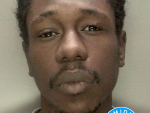 Supporting image for story: Son’s death at hands of paranoid schizophrenic ‘haunts’ mother, court told