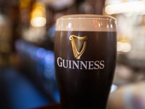 Supporting image for story: Diageo cuts outlook and slashes dividend as new boss takes the reins