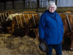Supporting image for story: Law expert urges farmers to avoid rash decisions after 'wave of panic'