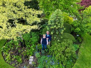 Pamela and Alistair Thompson from Wichenford with their Wollemi pine.