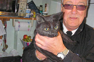 Supporting image for story: Curious kitty rescued in Mid Wales after getting jammed in tiny gap