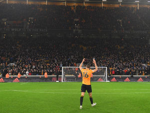 Supporting image for story: Wolves Fans' Verdict v Manchester City: What a night!