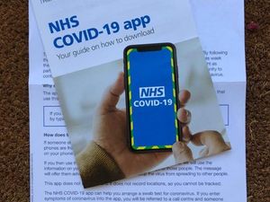 Supporting image for story: ‘Time running out’ for testing plan before second wave, says top health figure