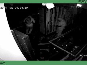 Supporting image for story: Police release CCTV of duo suspected of stealing gold artefacts from museum