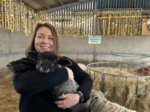 Supporting image for story: Sandwell Council Leader wins first of its kind animal welfare award
