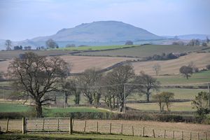 There are lots of walks nearby