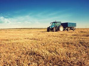 Supporting image for story: Farmland value to see steady growth over the next five years