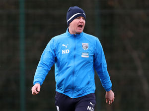 Supporting image for story: Nick Davies: West Brom in great shape 