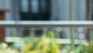 Prime Minister Boris Johnson and the Chancellor of the Exchequer Rishi Sunak during a visit to the Pizza Pilgrims restaurant in east London