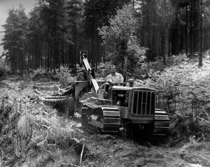 Cannock Chase, June 1970: 'After Basil Pratt has towed the trunks to the power saws the stakes will be used for packing coal mines - and some for pulping into paper.'