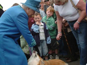 Supporting image for story: Crowds turn out for Queen's visit