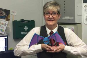 Take the stage at The Grand Theatre for all of your Pokemon needs. Pic from Twitter: @WolvesGrand