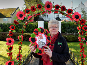 Supporting image for story: Crafted poppies for fallen heroes