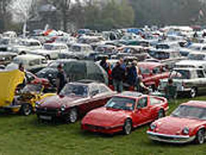 Supporting image for story: Motor show is a real classic