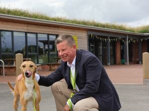 Supporting image for story: Birmingham Dogs Home has new boss after 'challenging' 12 months