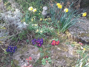 Julia took this picture some time ago – the garden is now overgrown.