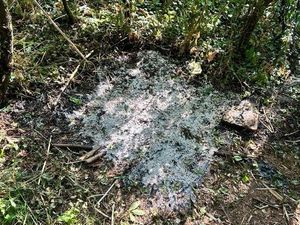 Supporting image for story: Sedgley adventure centre pleads with vandals after latest arson attack