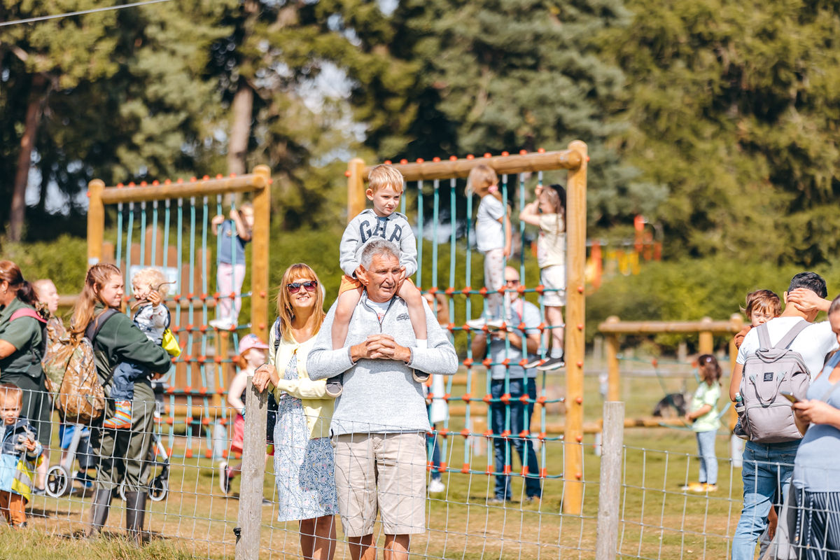 Packed summer schedule planned at Park Hall Packed summer schedule planned at Park Hall