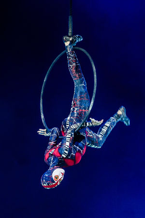 Cirque du Soleil OVO. Pictures by: Chris Bowley