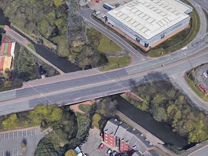 Supporting image for story: French bulldog found dead in canal in plastic bag weighed down with bricks