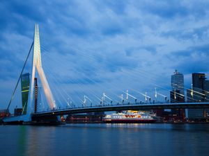 Supporting image for story: One person dead and another hurt in stabbing in Rotterdam, say police