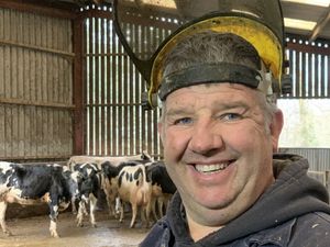 Supporting image for story: Shropshire Farming Talk: Managing cow comfort before spring turnout