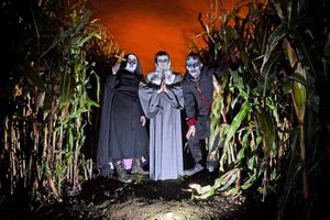 Supporting image for story: Review: Twisted Attractions Halloween Scream Nights, Lower Drayton Farm, Penkridge