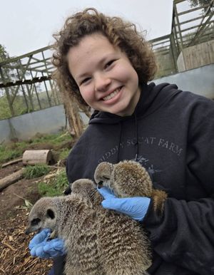 Keira Mayhew with some baby meerkats at Hoo Zoo and Dinosaur World