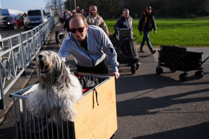 Miro, a Polish Lowland Sheepdog arriving on the first day of the Crufts Dog Show at the National Exhibition Centre (NEC) in Birmingham. Picture date: Thursday March 5, 2026. PA Photo. Photo credit should read: Jacob King/PA Wire
