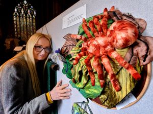 Supporting image for story: Array of textile talent on display at Shrewsbury show