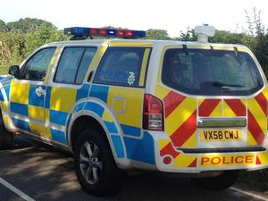 Supporting image for story: A41 bypass closed after cattle trailer rolls onto its side