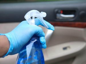 Supporting image for story: Study finds car interiors are ‘dirtier than the average toilet’