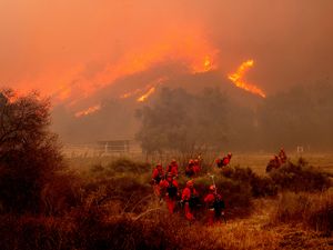 Supporting image for story: Oscar nominations ‘further delayed’ amid LA wildfires