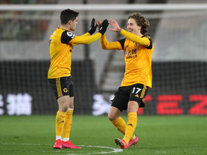 Supporting image for story: Wolves defeat lands punter £30k windfall 