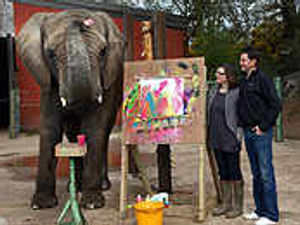 Supporting image for story: Meet Five - the elephant Picasso