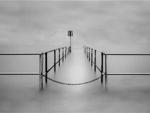 Supporting image for story: Caught on camera: Stunning competition images taken by Newport Photographic Club